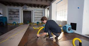 Shoreline Water & Restoration Cape Coral